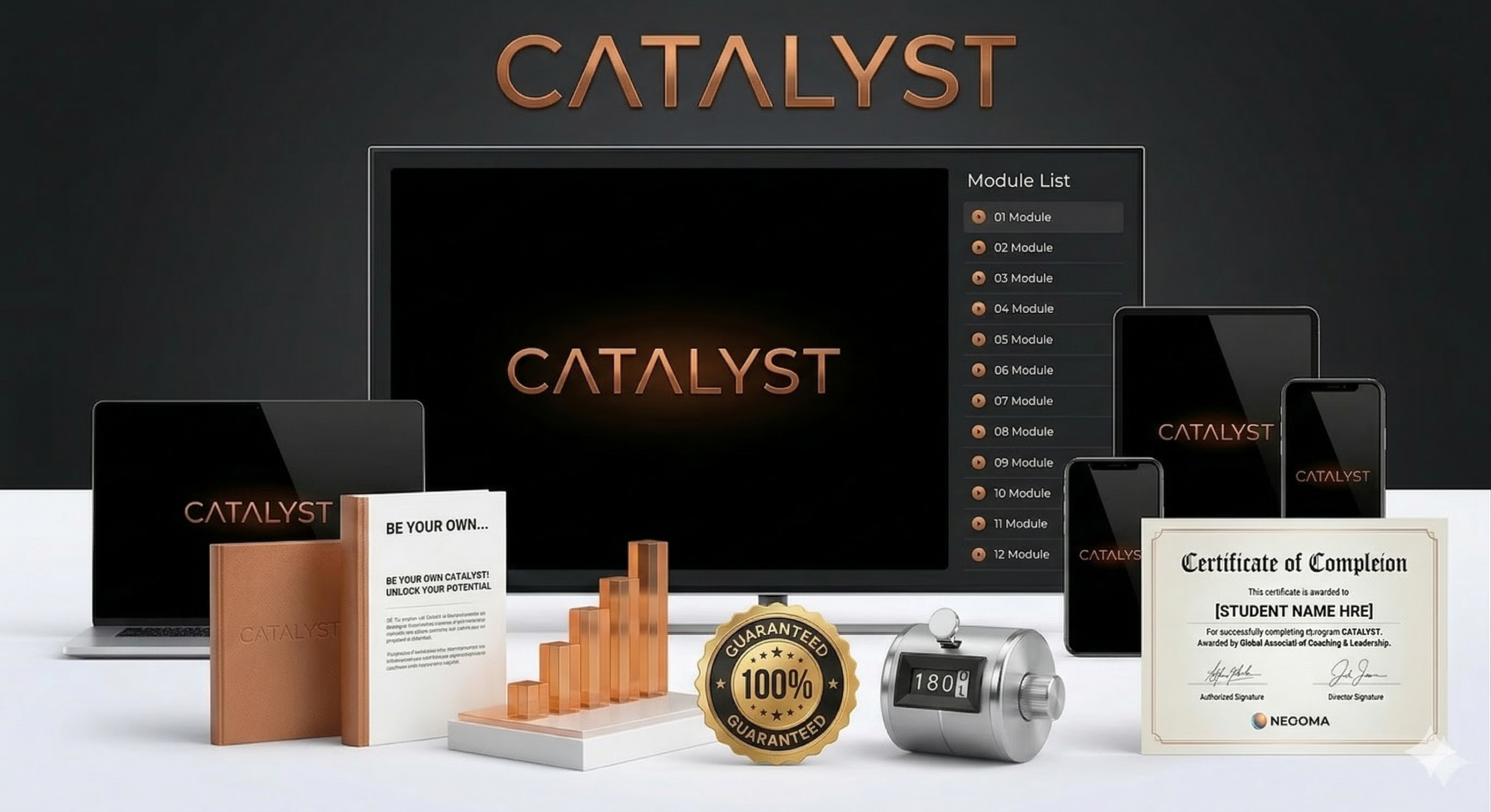 Catalyst Horizontal(1)